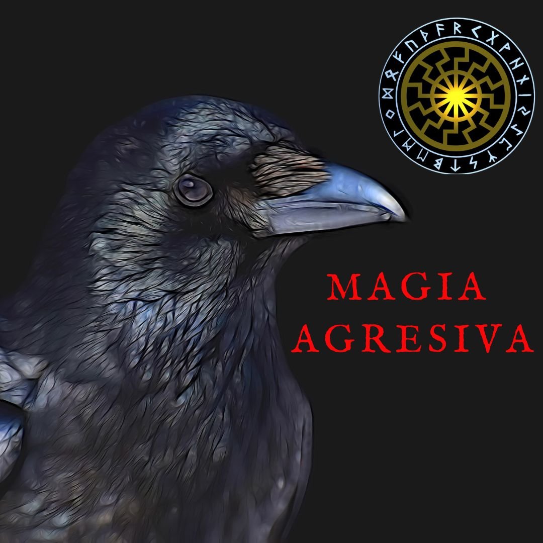 Magia agresiva